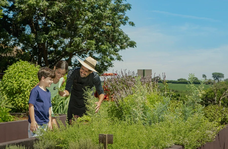 criança e adulto na horta do clara farm no clara dourado