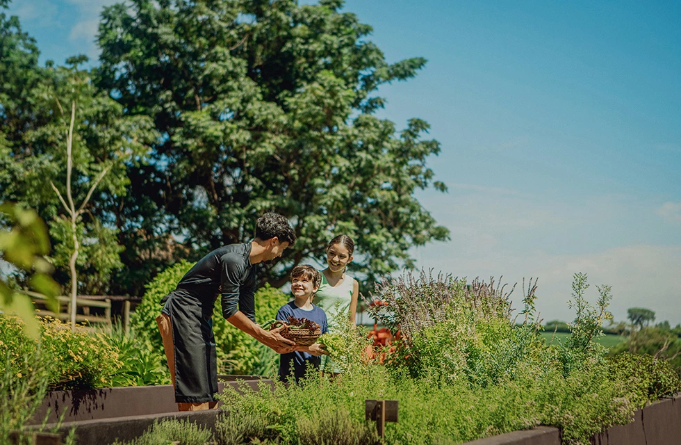 crianças na horta do clara dourado, tendo contato com as verduras, legumes e a natureza do ambiente