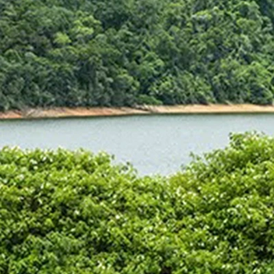 paisagem da trilha do clara ibiuna com vista para mata e represa
