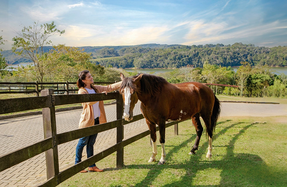 mulher fazendo carinho no cavalo no Clara Ibiúna